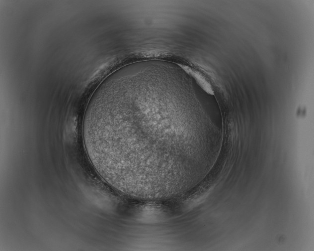 X0000090780308200708031721