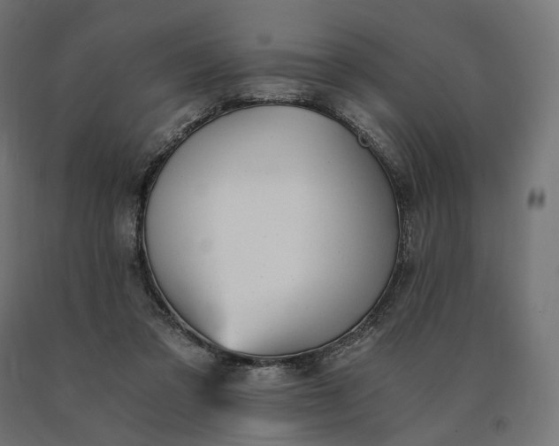 X0000090780309200708031721