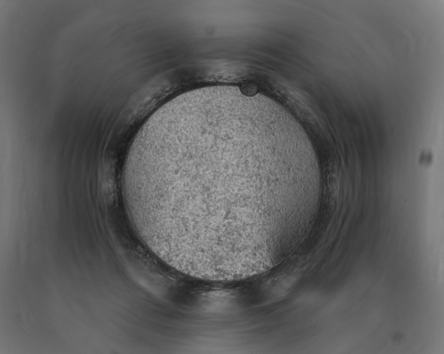 X0000090780312200708031721