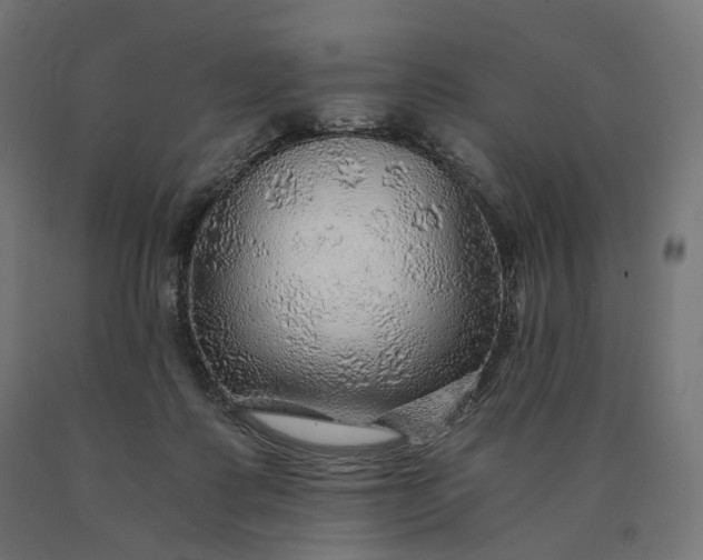 X0000090780315200708031721