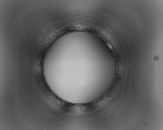X0000090780317200708031721