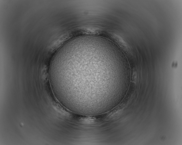 X0000090780318200708031721