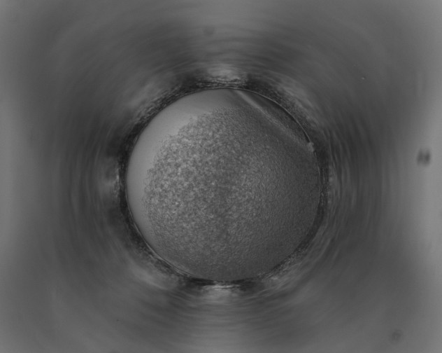 X0000090780320200708031721