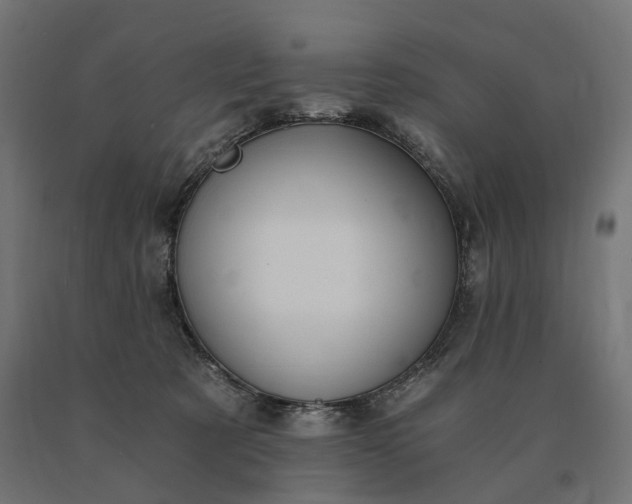 X0000090780321200708031721