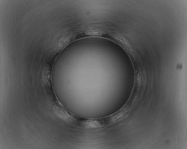 X0000090780322200708031721