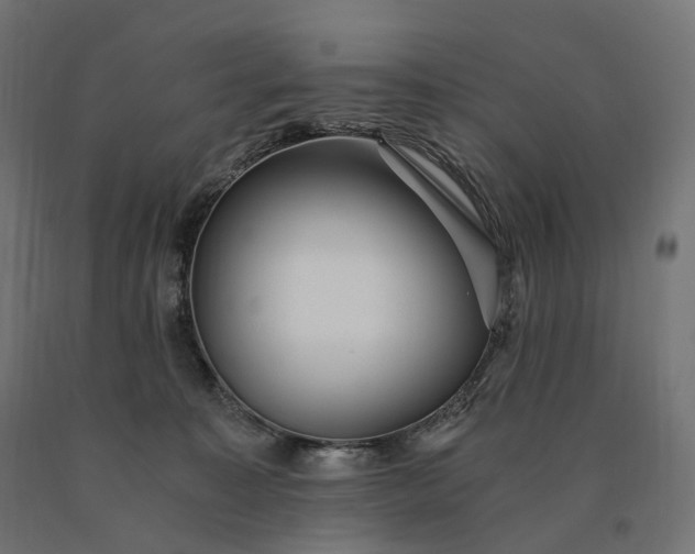 X0000090780323200708031721