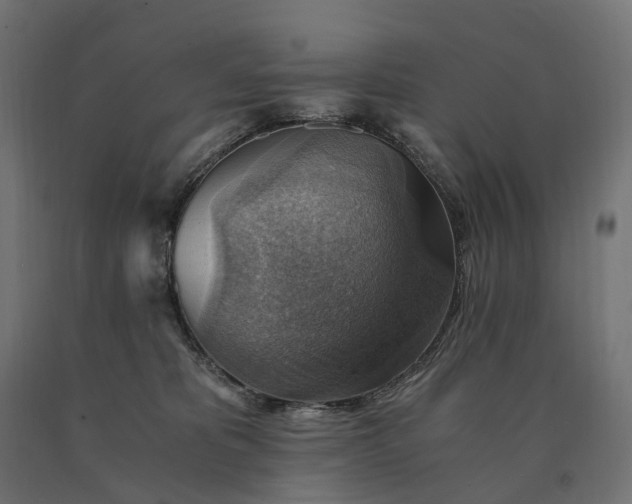 X0000090780325200708031721
