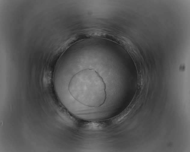 X0000090780326200708031721