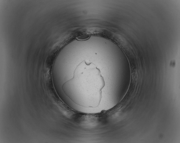 X0000090780327200708031721