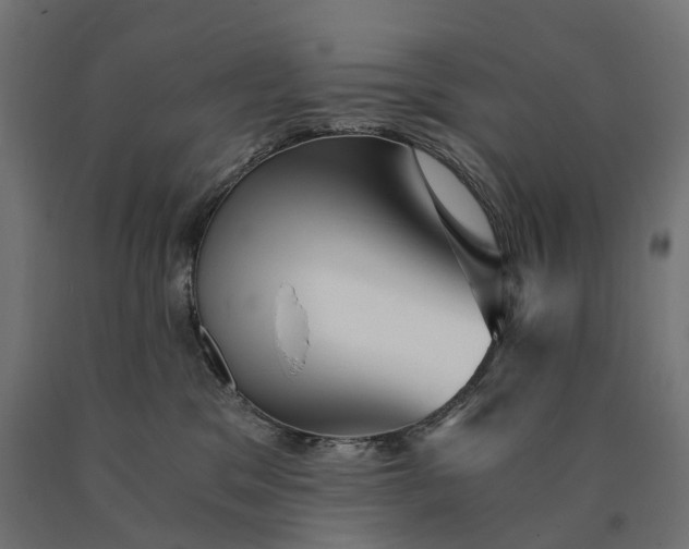 X0000090780329200708031720