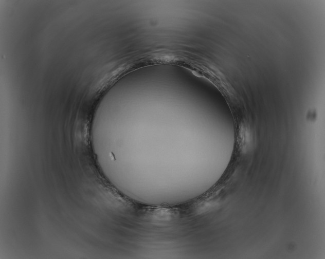 X0000090780330200708031720