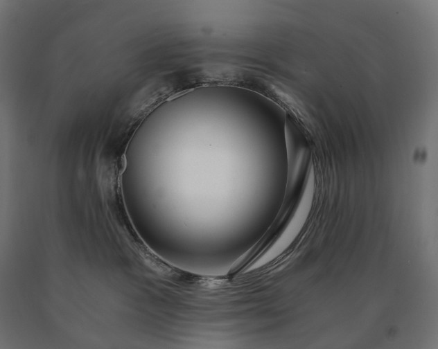 X0000090780333200708031720