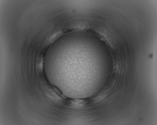 X0000090780334200708031720