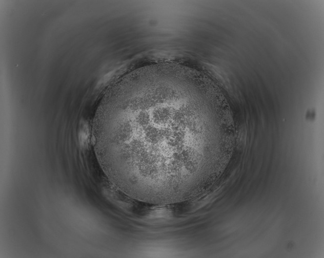 X0000090780335200708031720