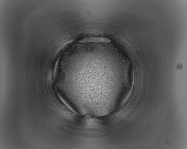 X0000090780336200708031720