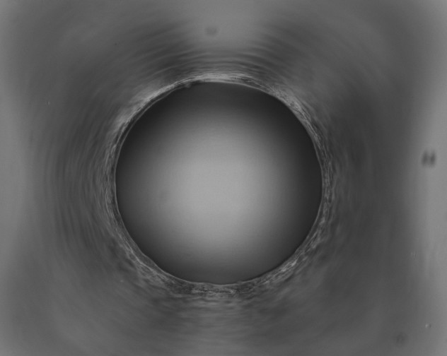 X0000090780337200708031720