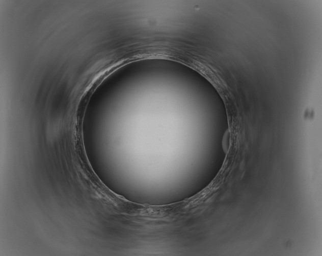 X0000090780338200708031720