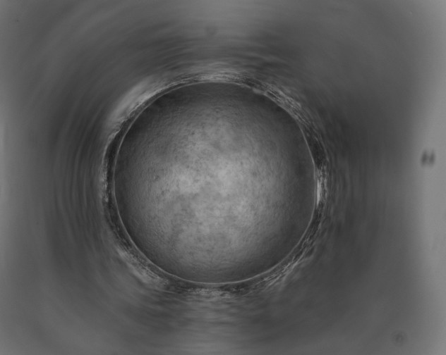 X0000090780339200708031720