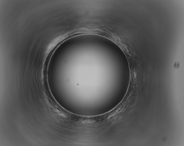 X0000090780340200708031720