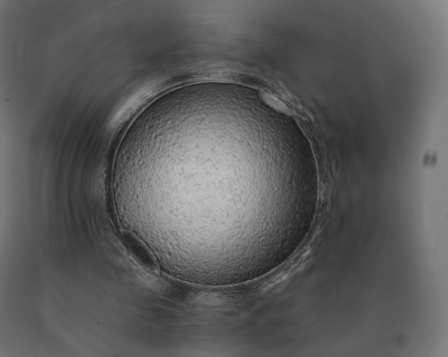 X0000090780341200708031720