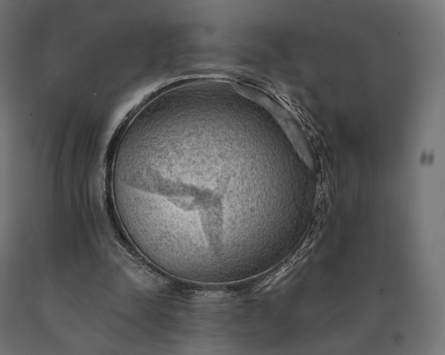X0000090780342200708031720