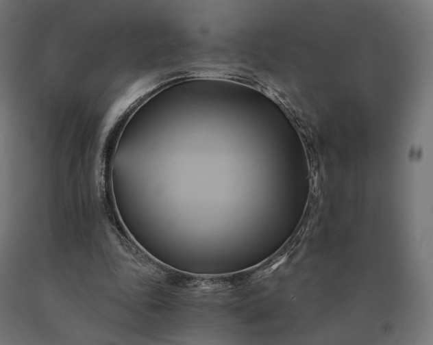 X0000090780343200708031720