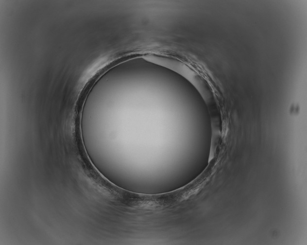 X0000090780344200708031720