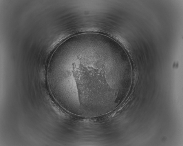 X0000090780345200708031720