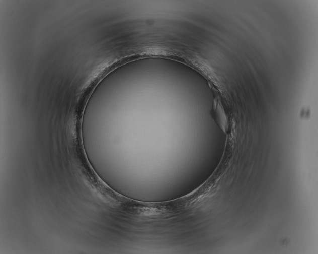 X0000090780347200708031720
