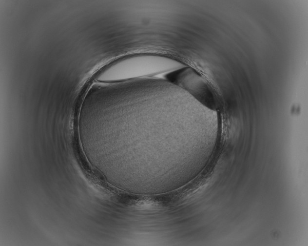 X0000090780348200708031720