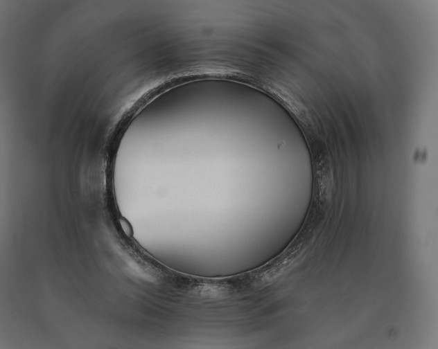 X0000090780350200708031720