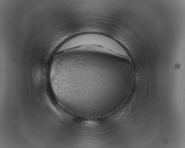X0000090780352200708031720
