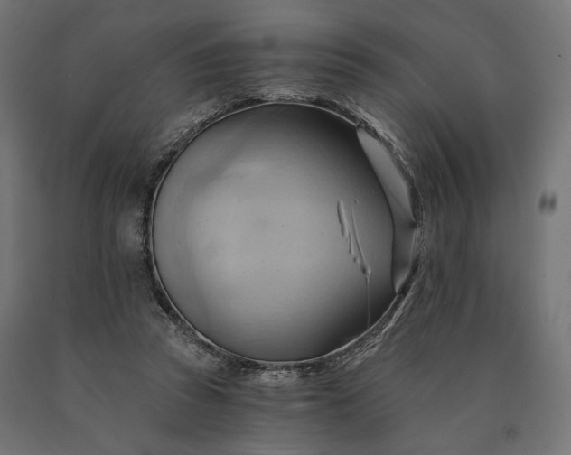 X0000090780353200708031720