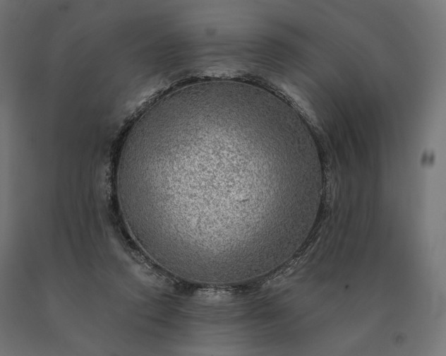 X0000090780354200708031720