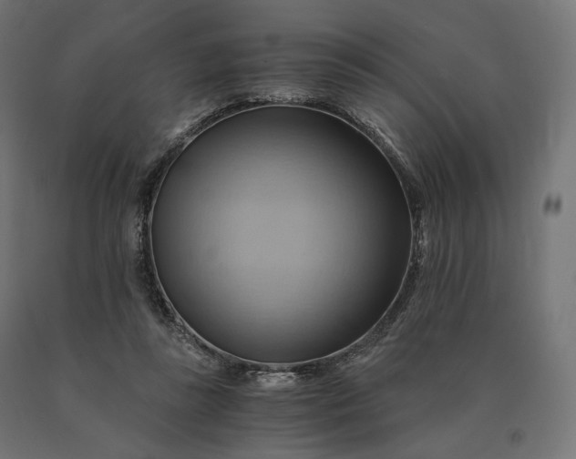 X0000090780355200708031720
