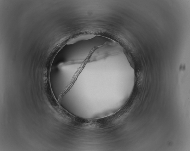 X0000090780356200708031720
