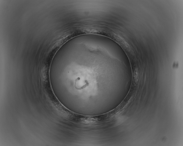 X0000090780359200708031720