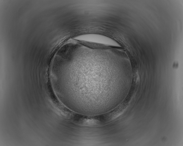 X0000090780360200708031720