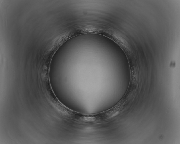 X0000090780361200708031720