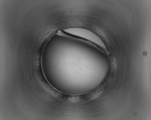 X0000090780362200708031720