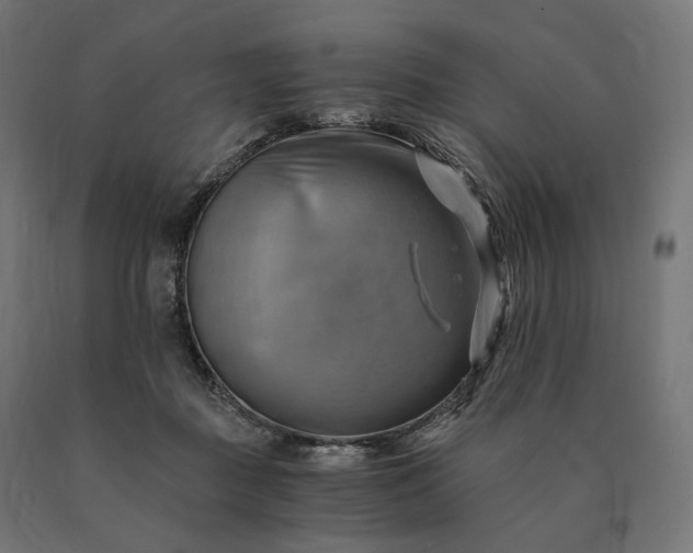 X0000090780363200708031720