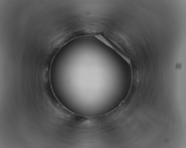X0000090780364200708031720