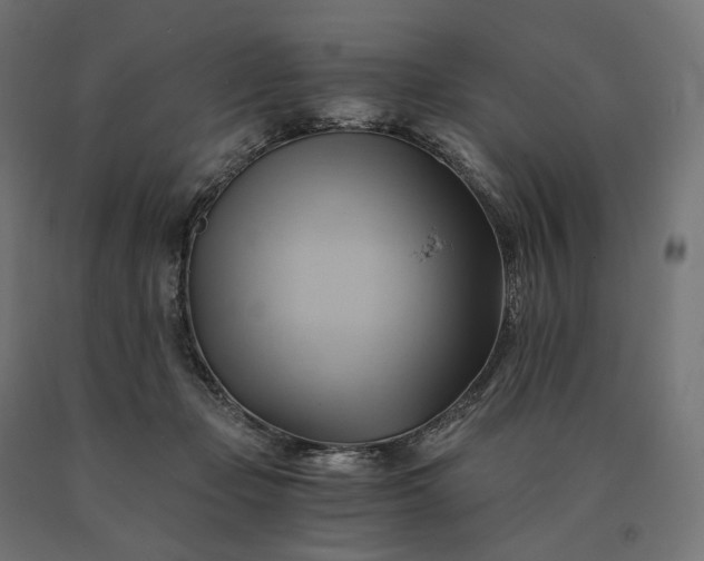 X0000090780365200708031720