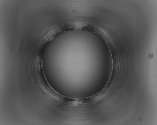 X0000090780366200708031720