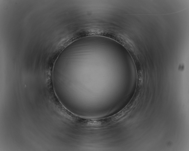 X0000090780369200708031720
