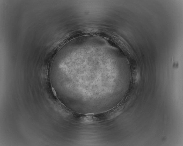 X0000090780372200708031720