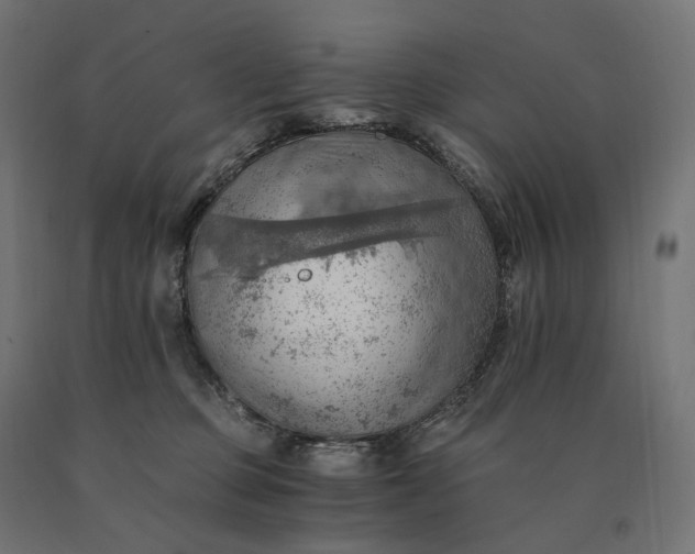 X0000090780373200708031720
