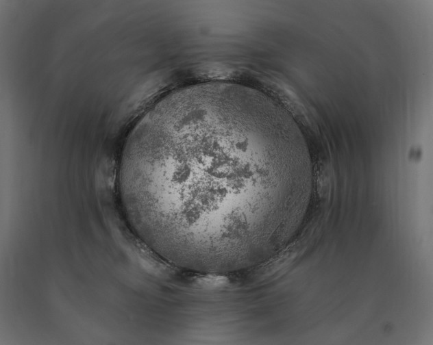 X0000090780374200708031720