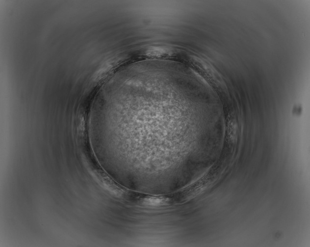 X0000090780375200708031720