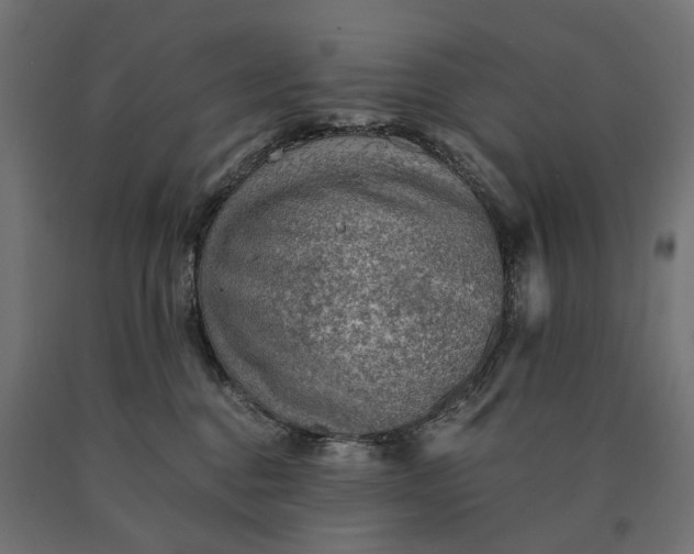 X0000090780376200708031720